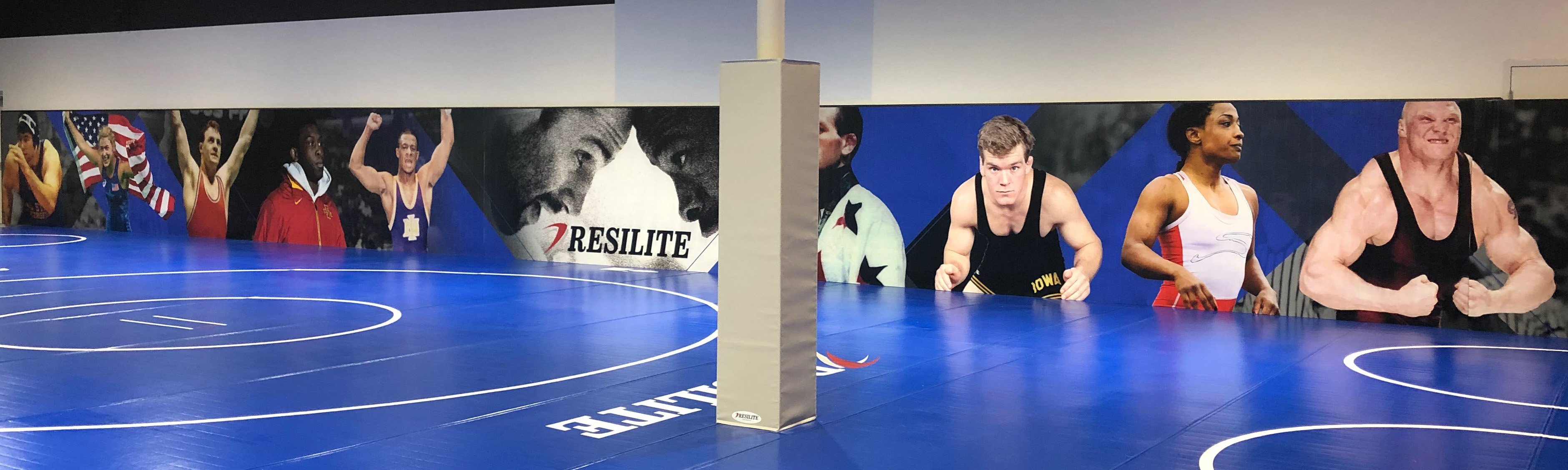 Downloadable Resilite Flyers